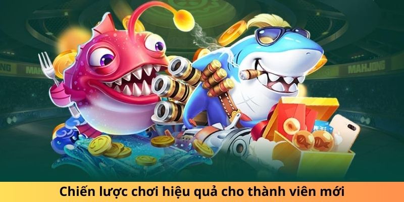 Chiến lược chơi hiệu quả cho thành viên mới